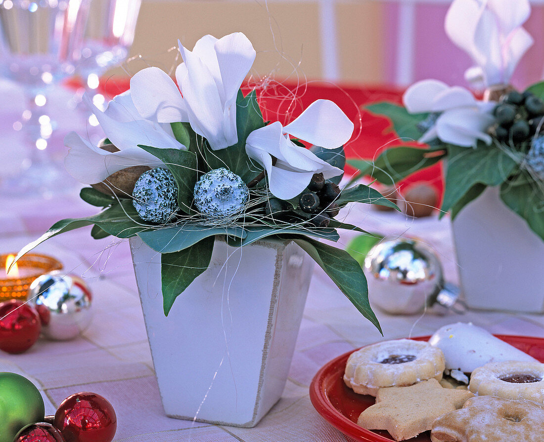 Small arrangement in white pot with Cyclamen persicum