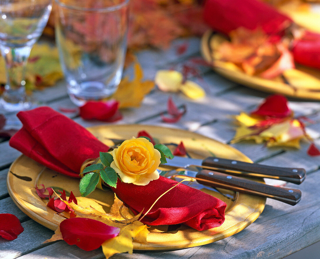 Acer (maple leaf), pink (rose blossom) on red napkin