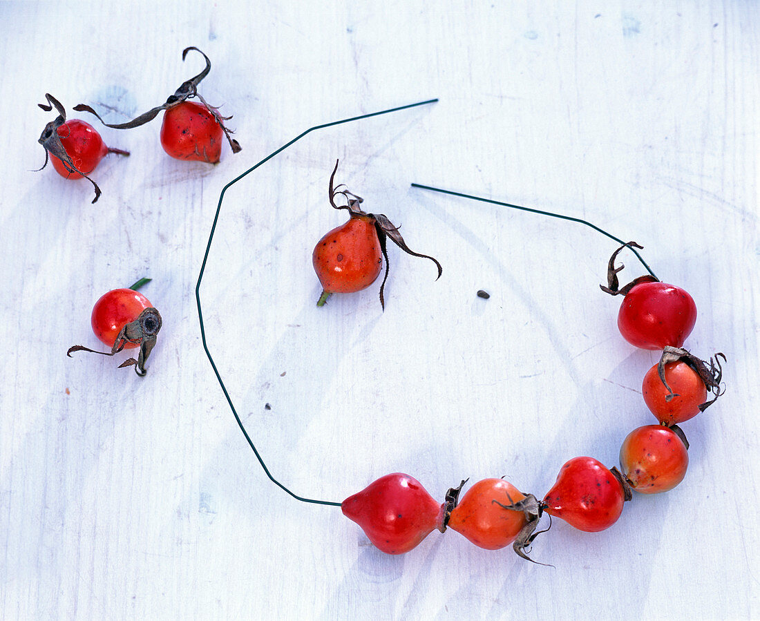 Threaded rosehips