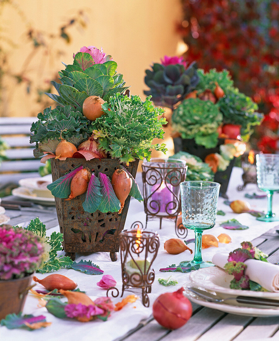 Brassica (ornamental cabbage) with Allium (onion) as table decoration