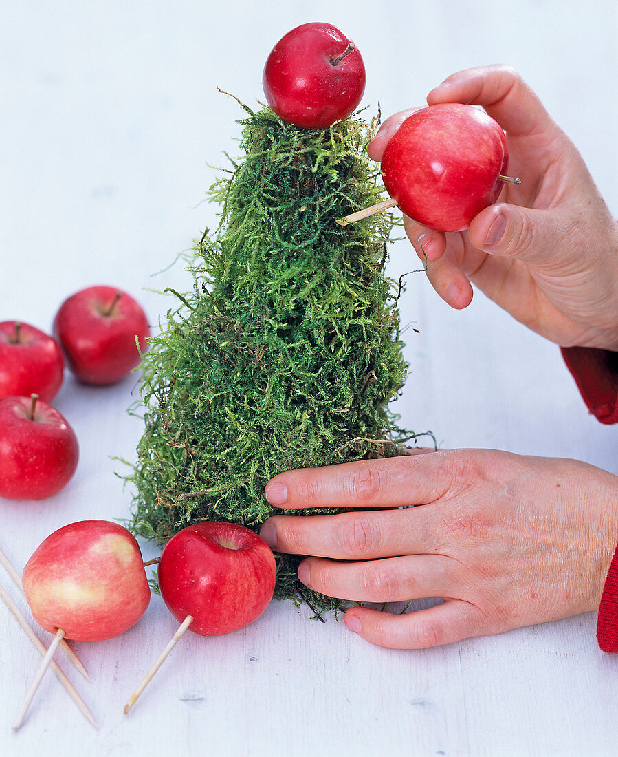 Apple moss Pyramid