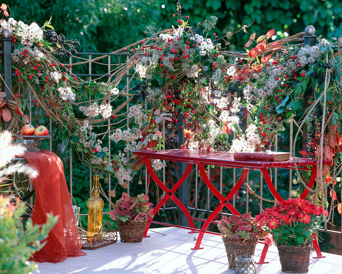 Balkongeländer geschmückt mit Clematis, Hagebuttenzweige (Rosa)