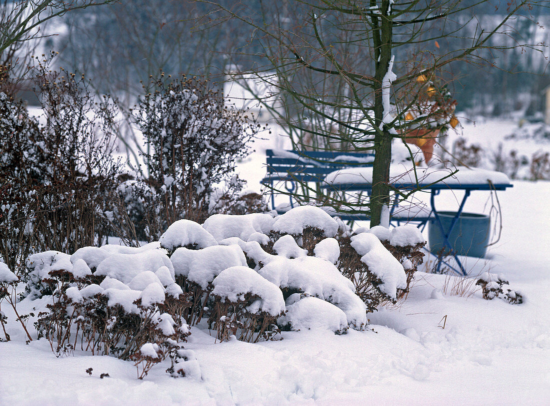 Snowy garden with blue set