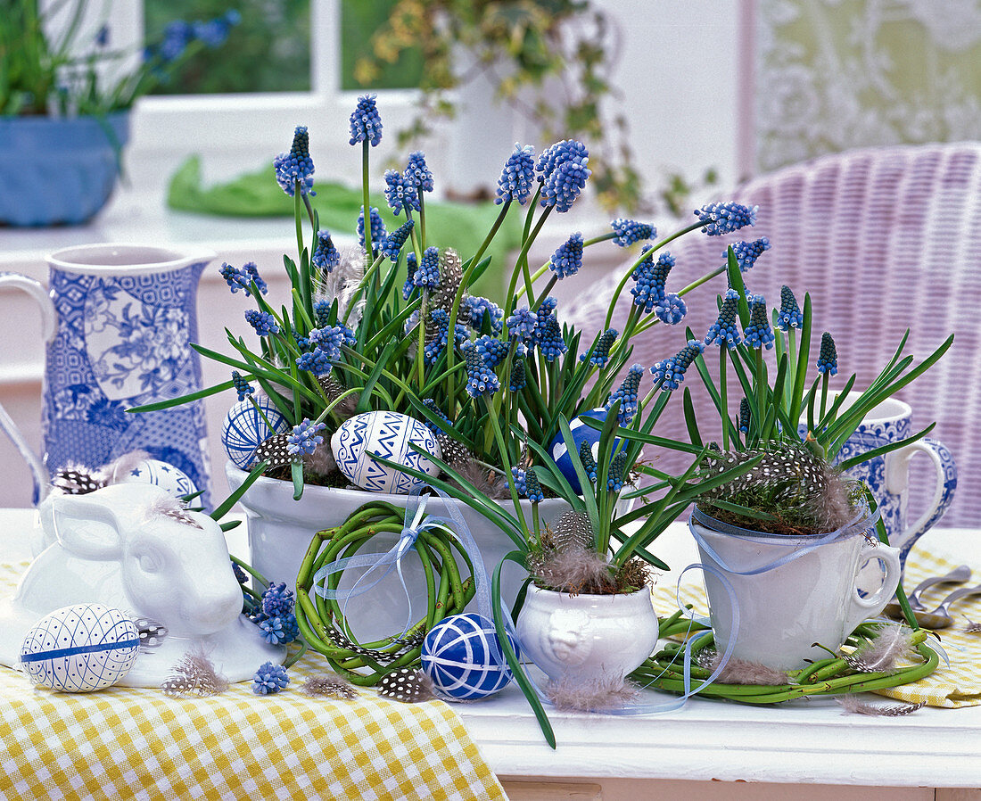 Muscari (grape hyacinth), Cornus wreaths