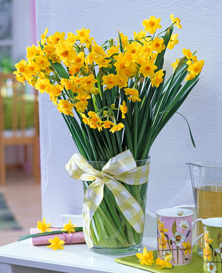 Strauß aus Narcissus (Narzissen) in Glasvase mit Schleifenband