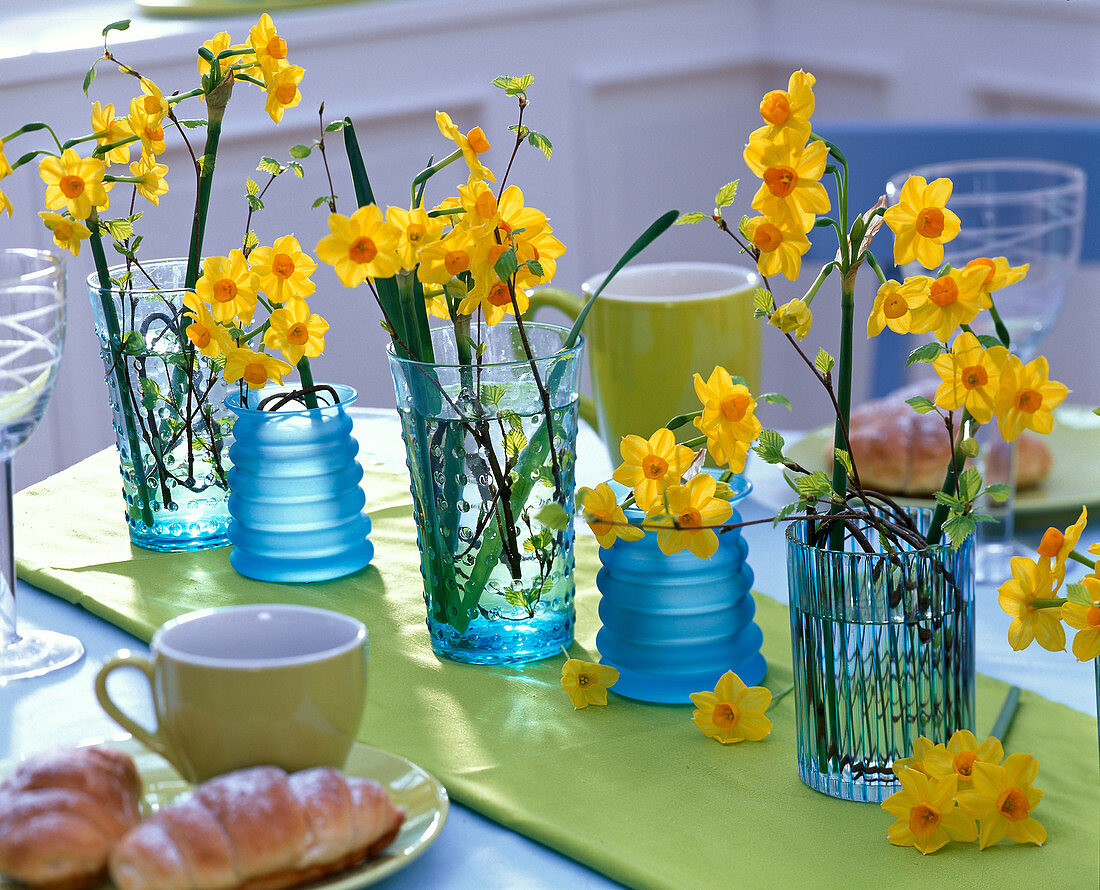 Narcissus Jonquilla 'Martinette' (Narzissen) in blauen Reliefgläsern