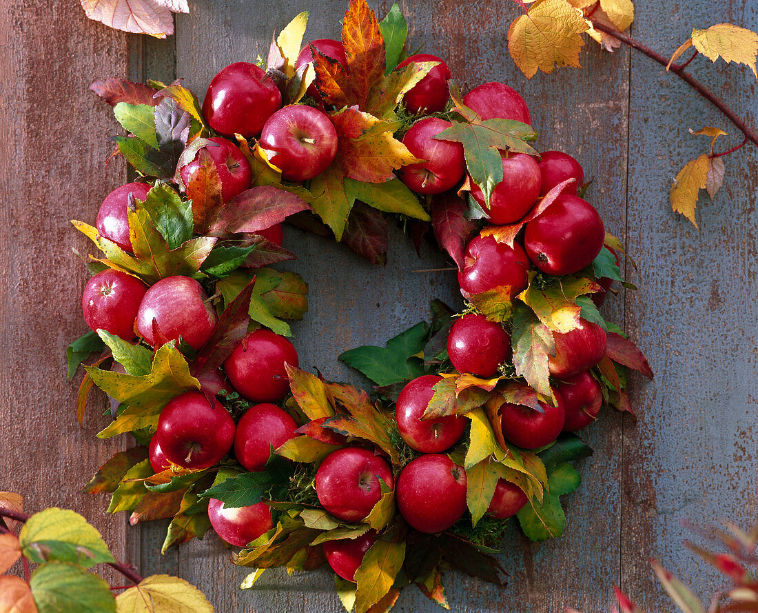 Apples and sweet leaves wreath