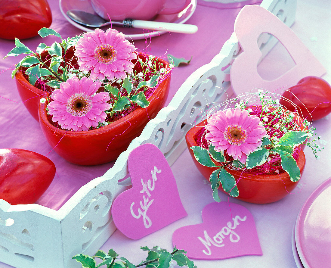 Gerbera, Pittosporum (Klebsame), Gypsophila (Gypsophila)