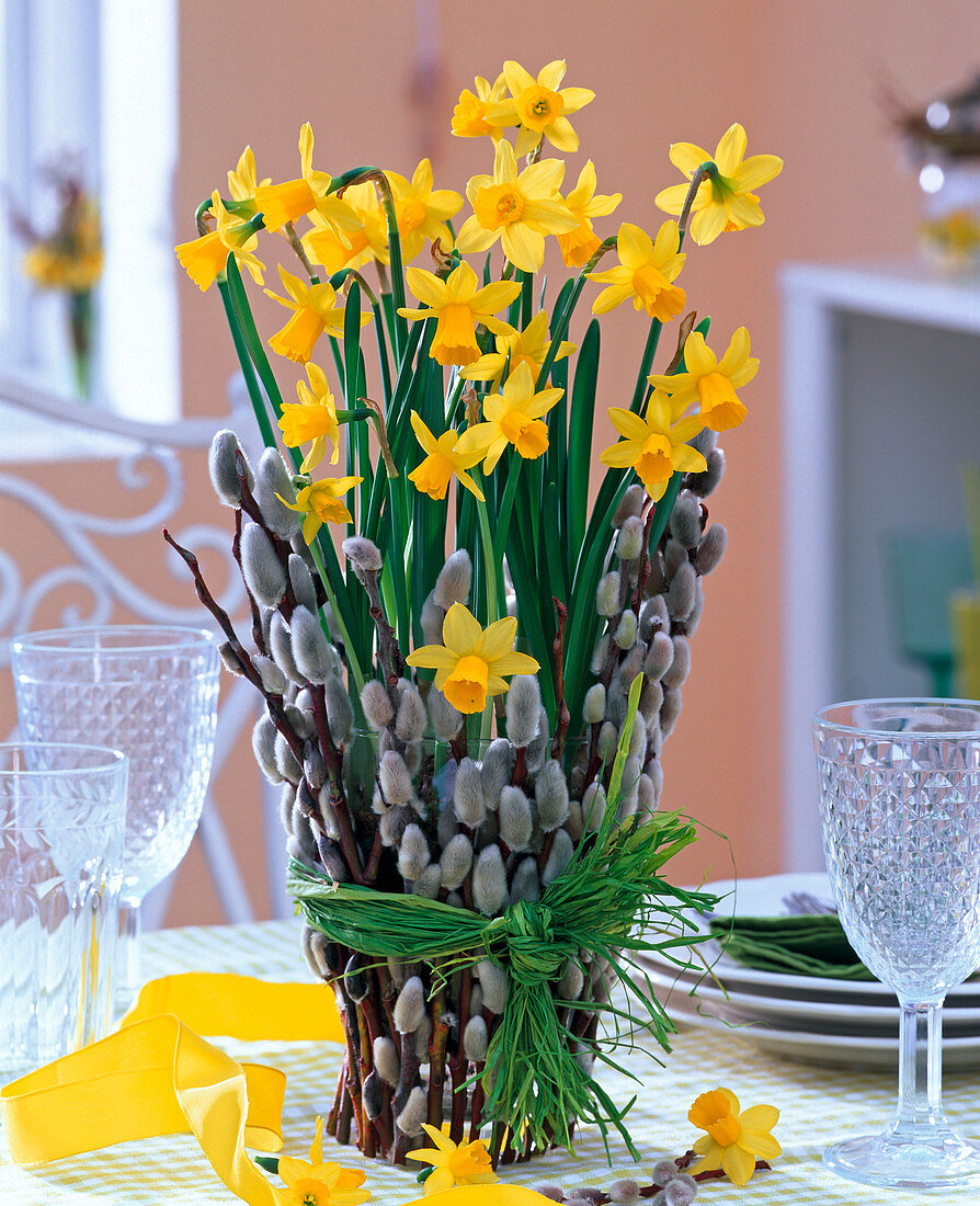 Narcissus in glass with pussy willow branches