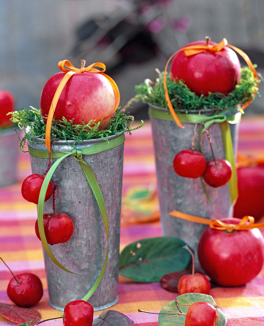 Malus (Apfel) auf Moos in hohen Zinkvasen, Schleifenbänder