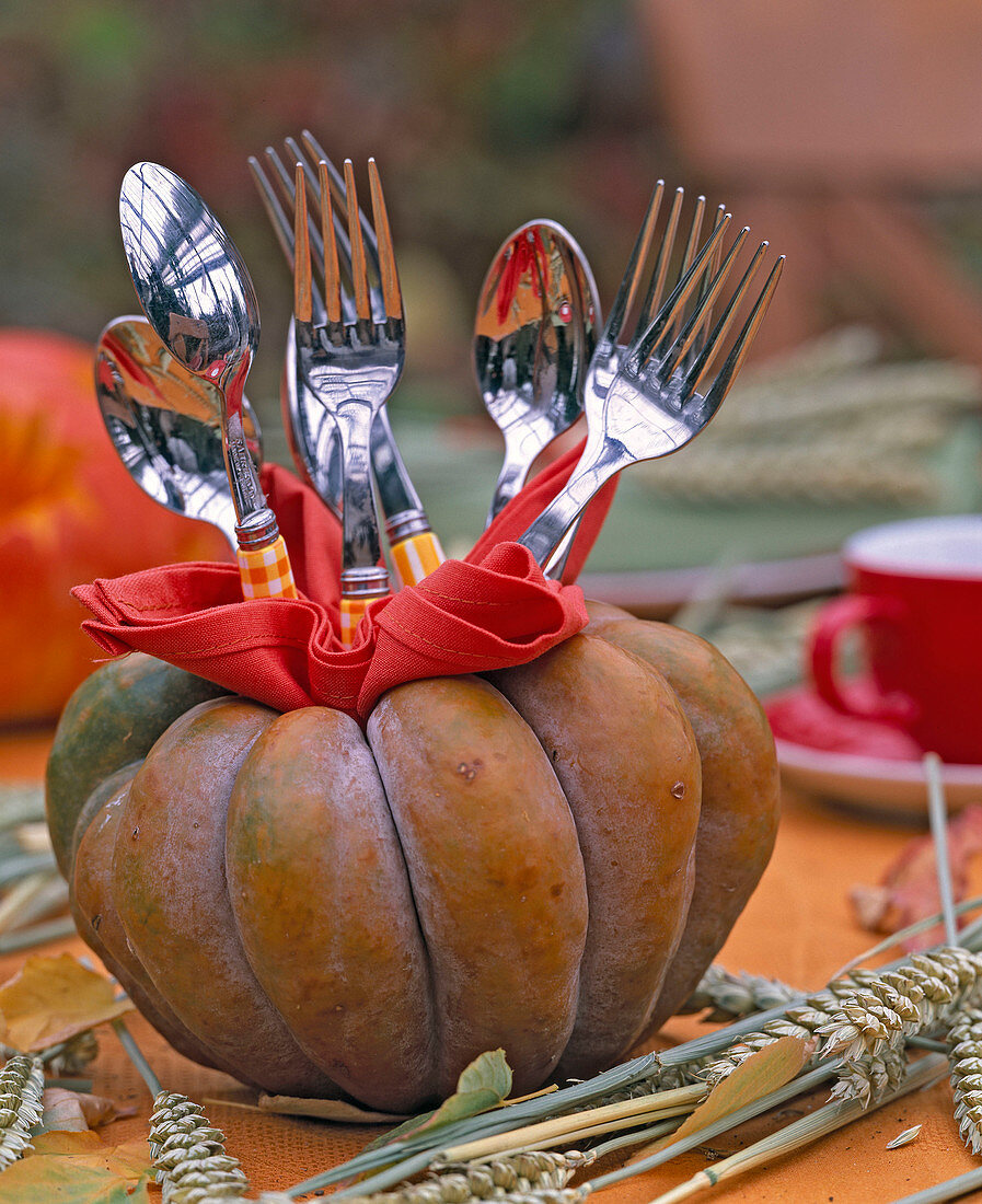 Cucurbita, lined with red napkin as a container for cutlery