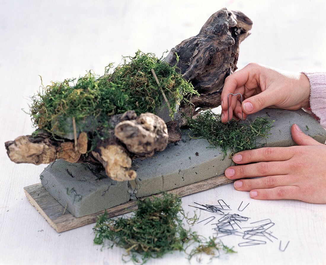 Advent wreath with gnarled branch and moss (2/5)