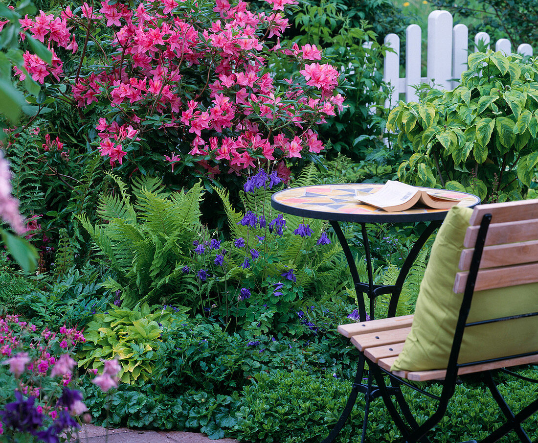 Seat by the bed with azaleas and ferns