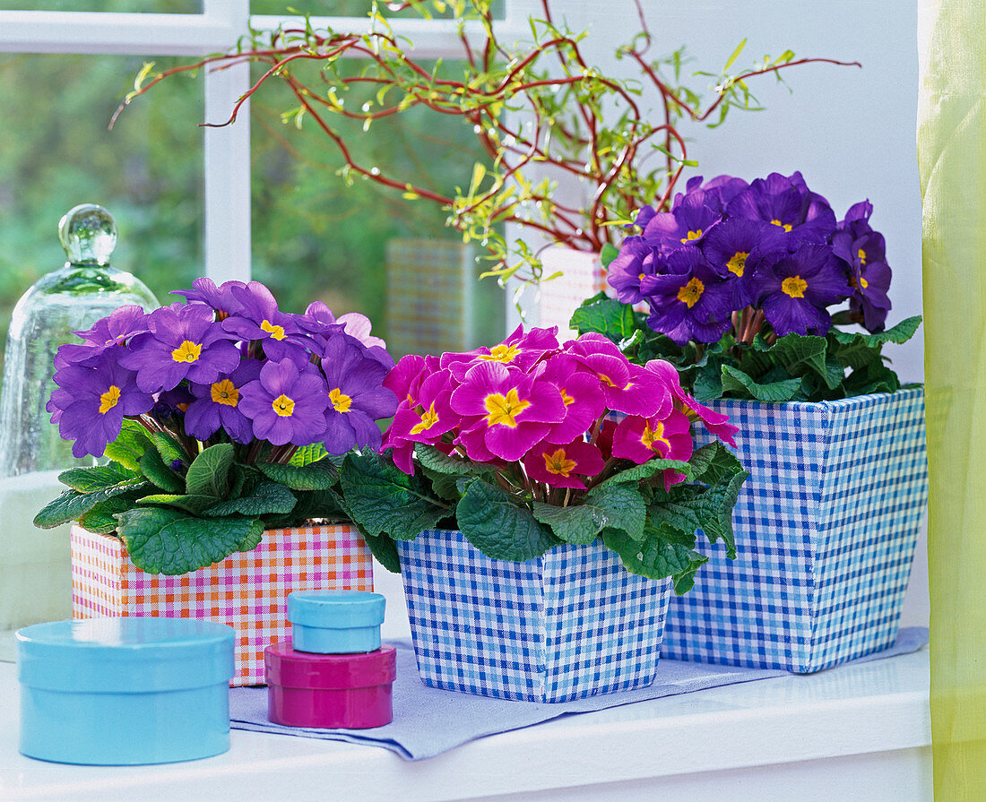 Square planters with decoupage technique