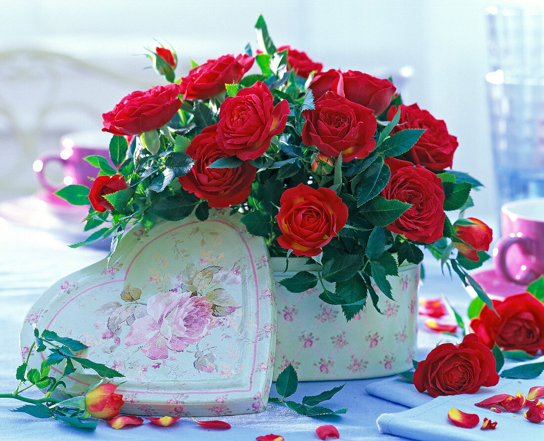 Rote Rosen (Rosa) in hellgrüner Blechdose mit aufgemalten Rosen