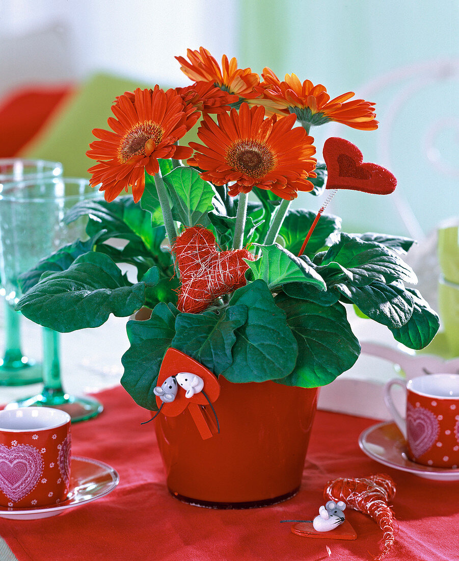 Red gerbera with sisal heart and clamp heart with mice, espresso cups