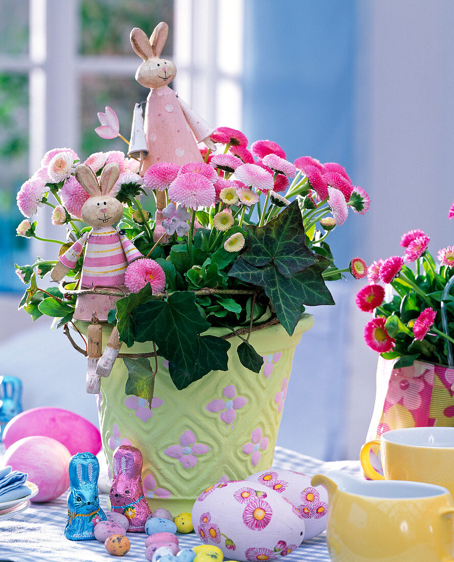 Bellis with wreath of hedera, decorated with rabbits