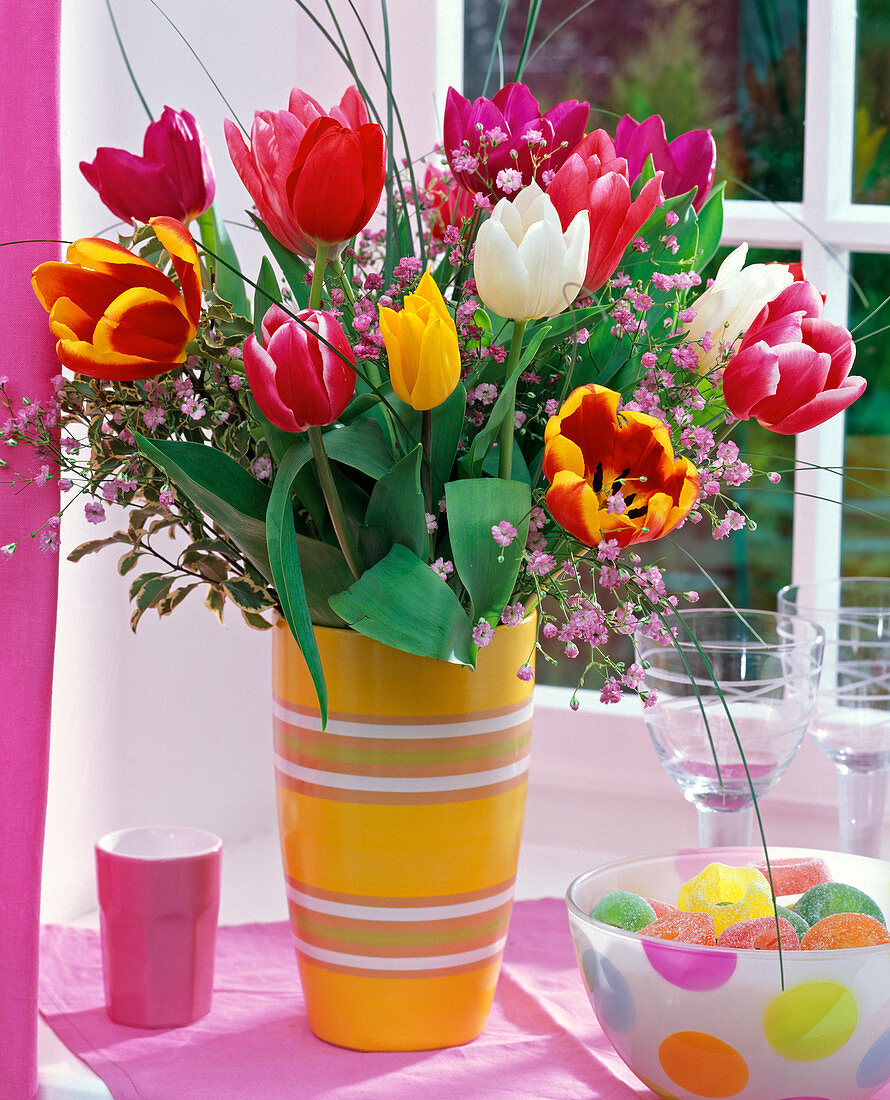 Strauß aus Tulipa (Tulpen), rosa Gypsophila (Schleierkraut), Xerophyllum