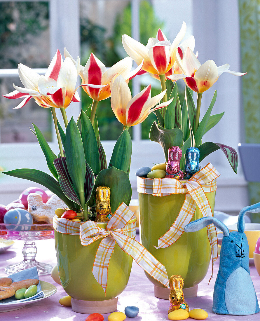 Tulipa 'The First' (tulips), decorated with bunnies, eggs, felt bunnies