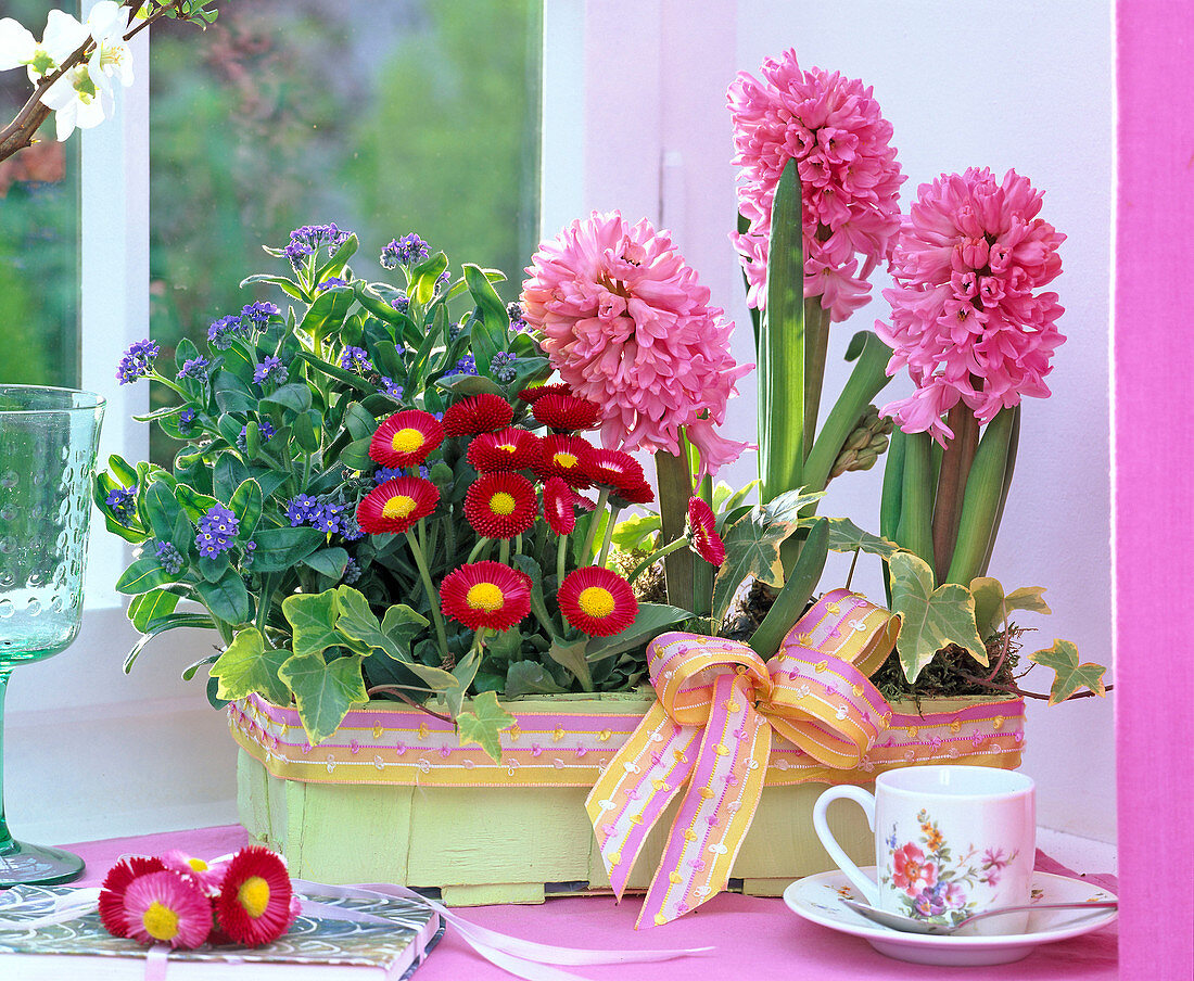 Spoke basket with myosotis (forget-me-not), hedera (ivy), bellis