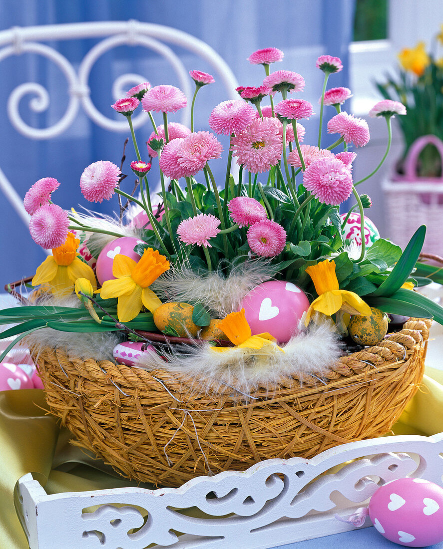 Korb mit Bellis perennis (Tausendschön), Narcissus (Narzissen), Ostereiern