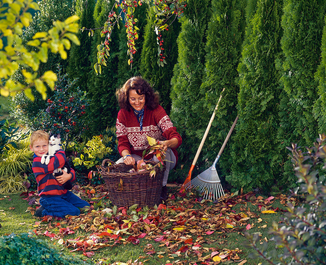 Woman collects leaves in basket