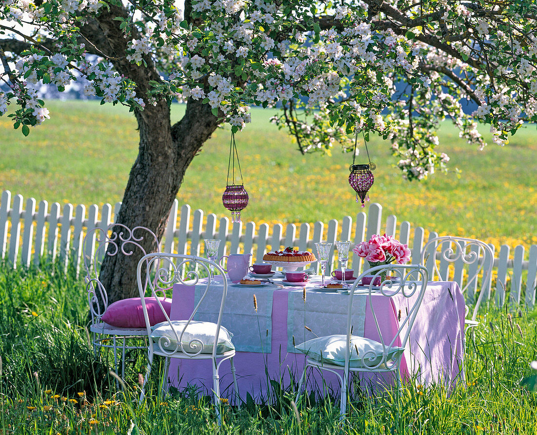 White metal seat group under flowering malus (apple tree)