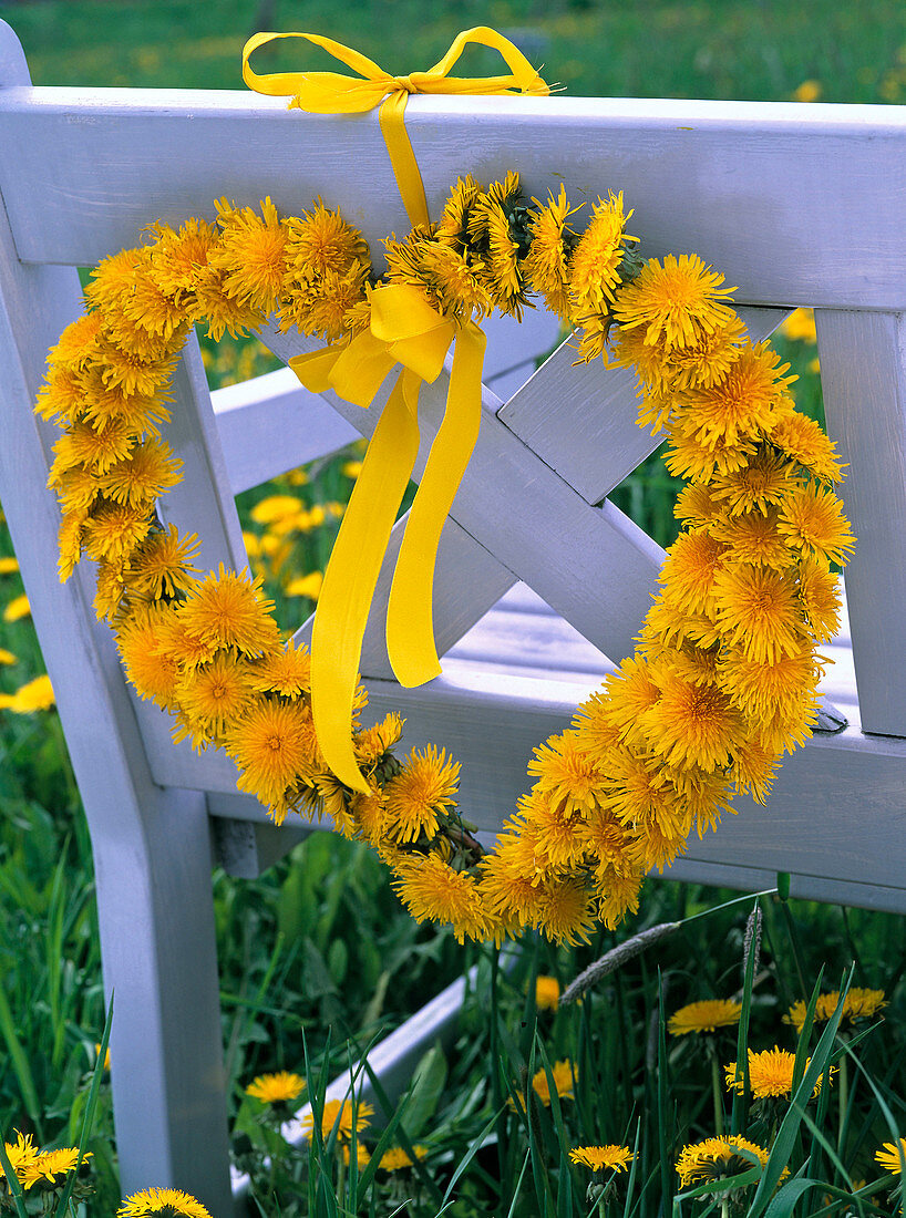 Dandelion heart