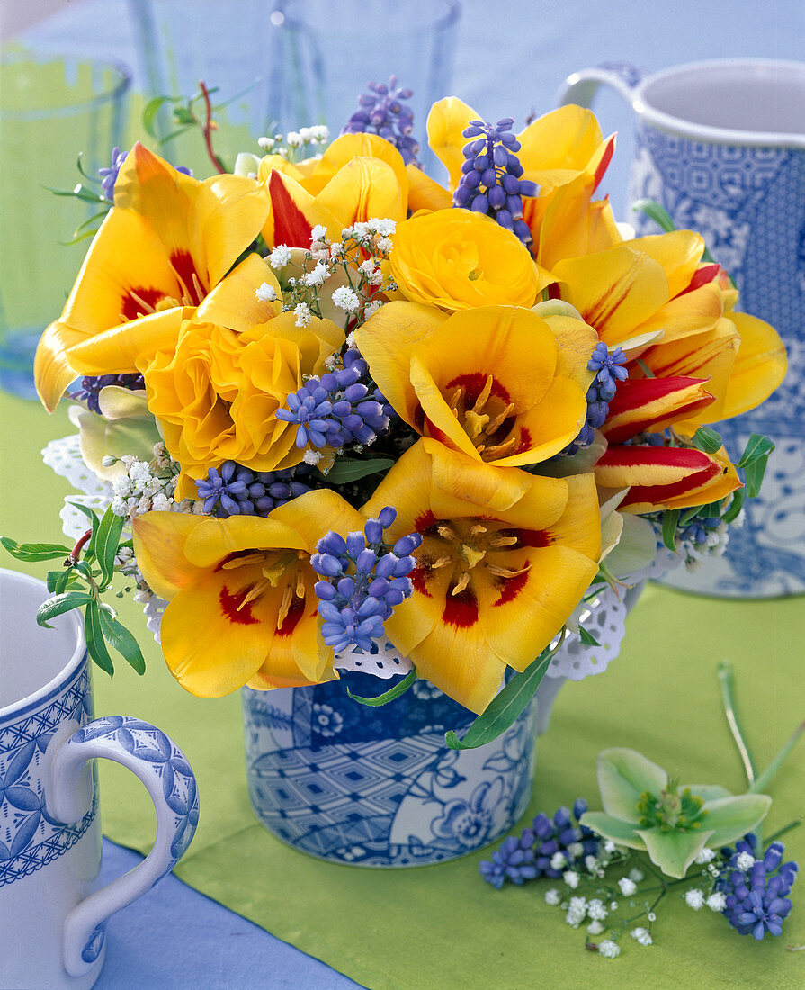 Bouquet of Tulipa, Myosotis, Gypsophila