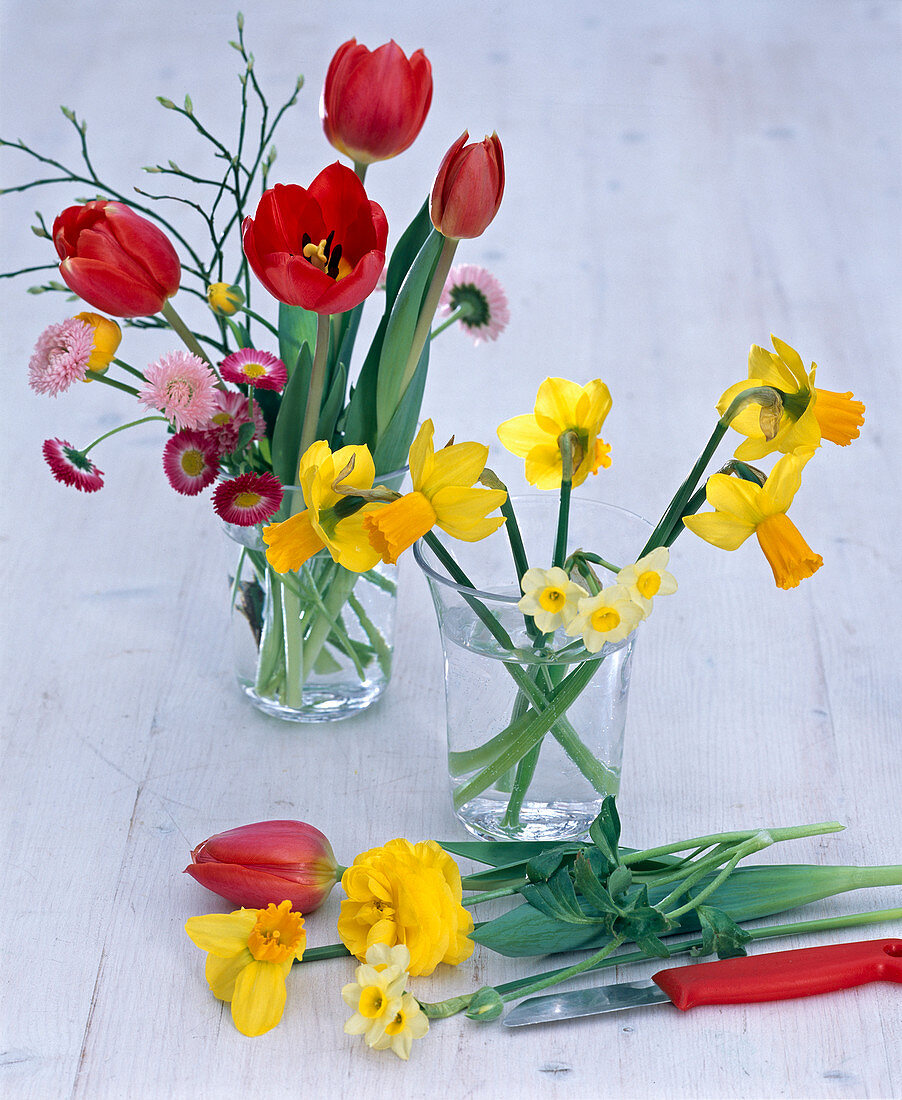 Narcissus (narcissus) put in extra vase for some time