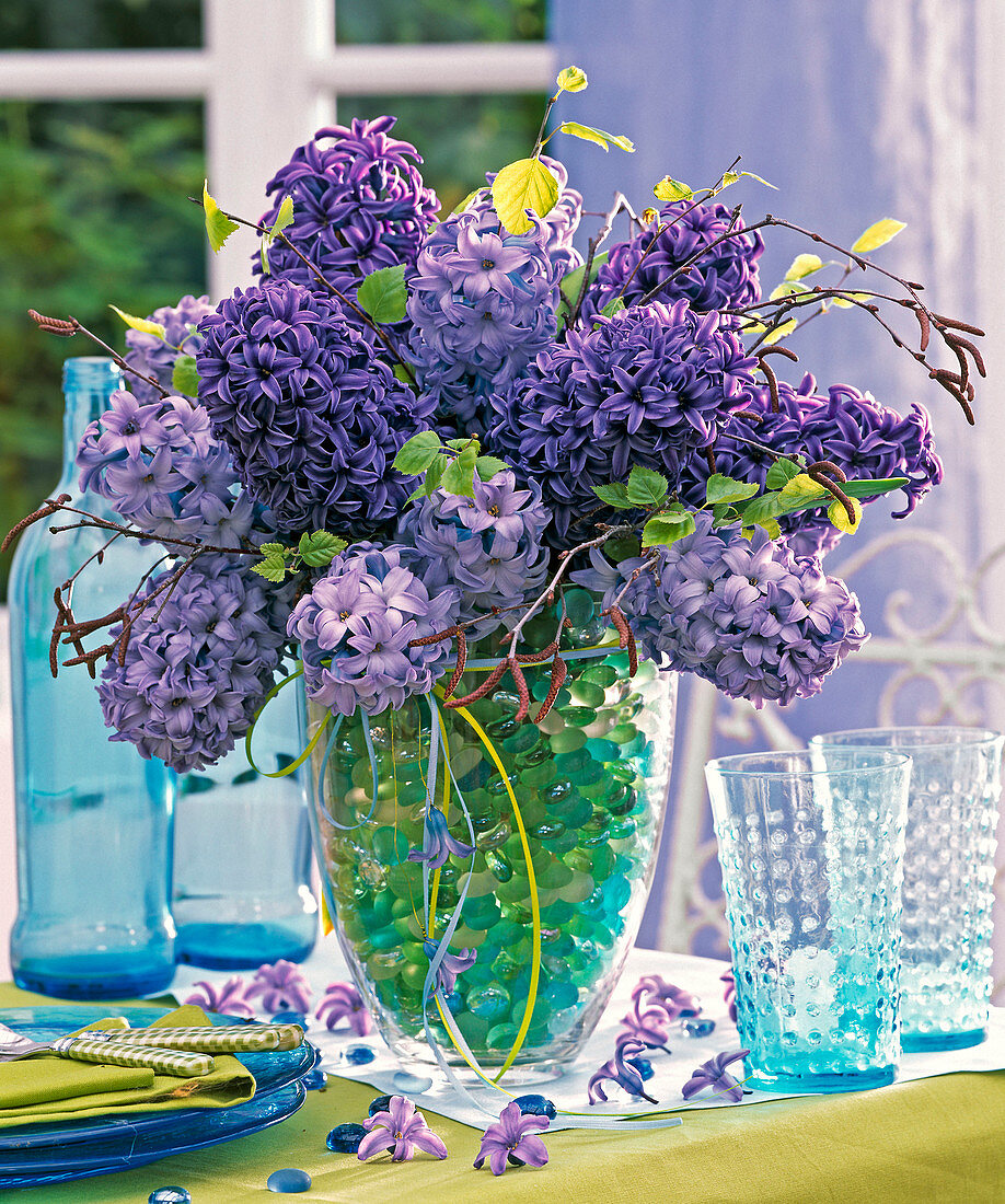 Strauß aus blauen Hyacinthus (Hyazinthen) und Zweigen von Betula (Birke)