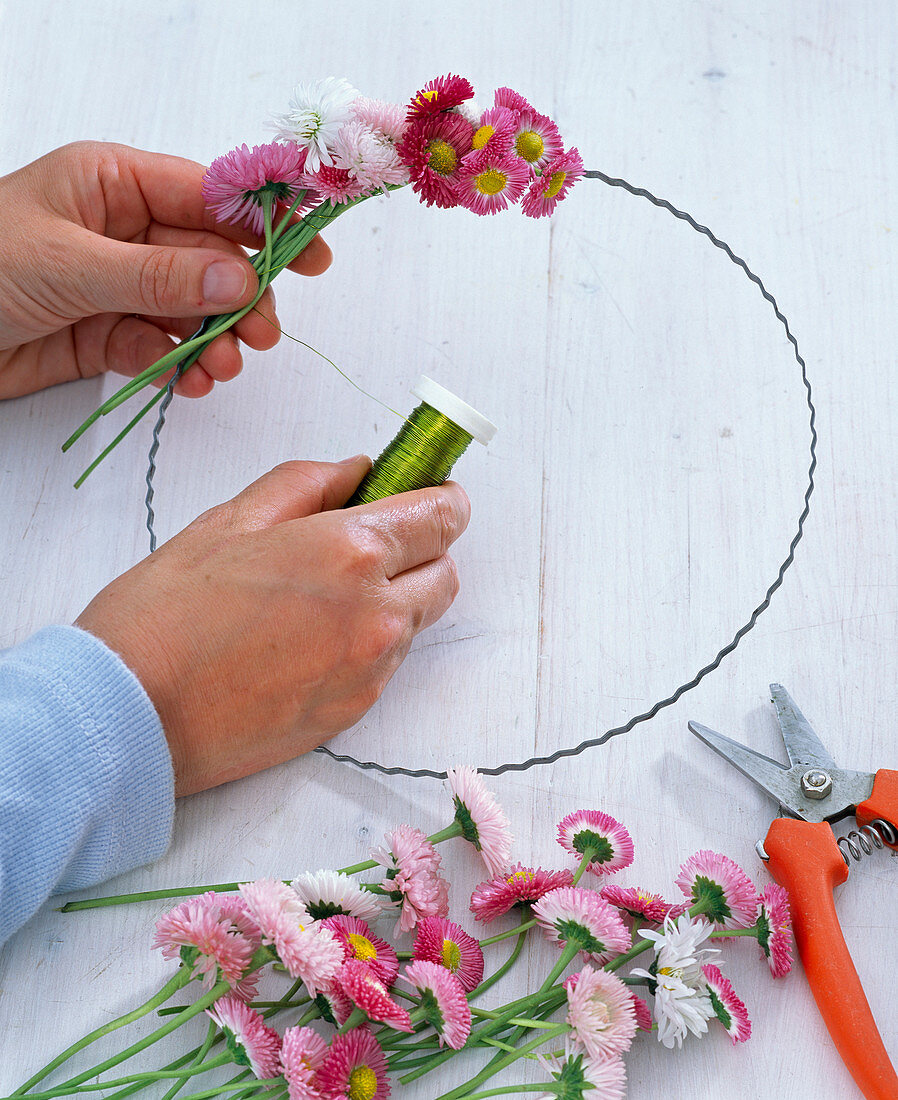 Bellis wreath (1/2)