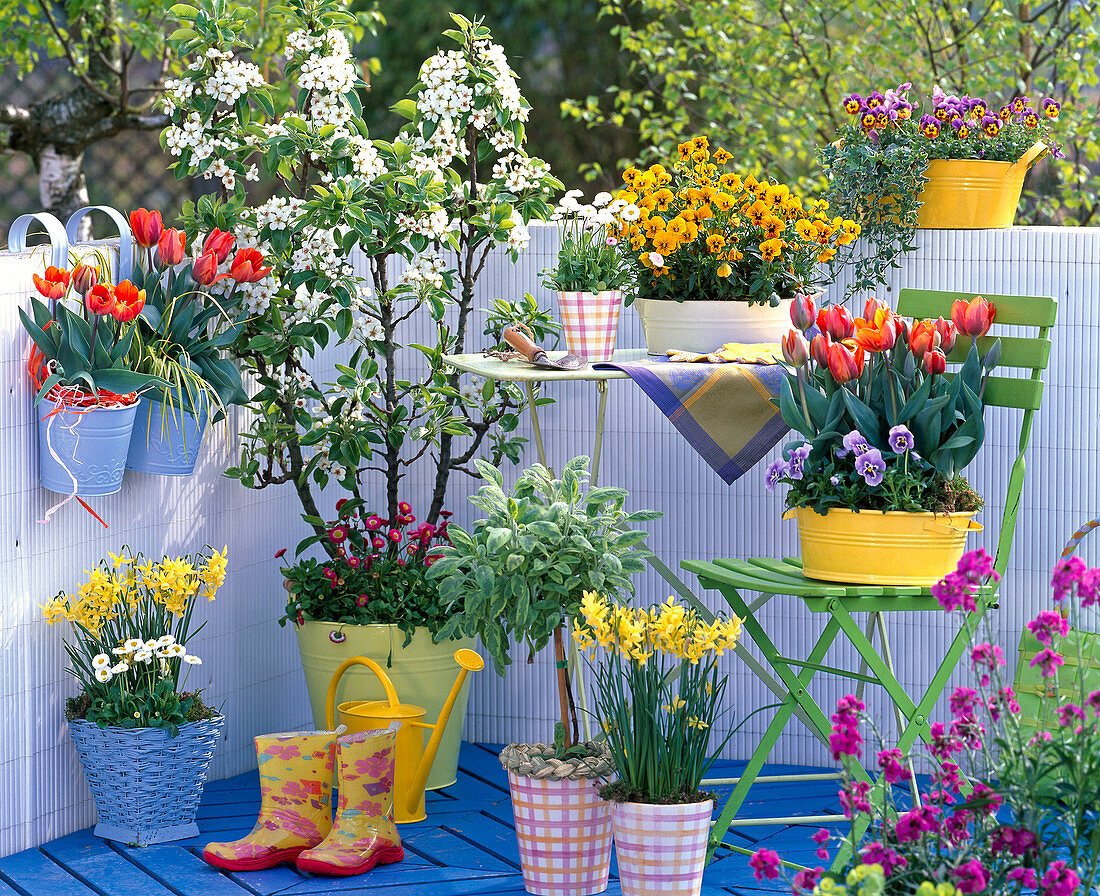 Before and after balcony in colorful