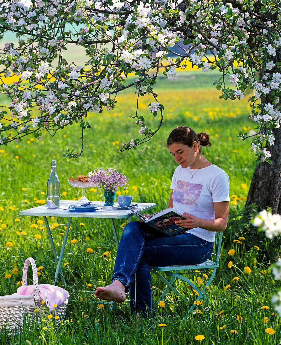 Seating set under a flowering apple tree