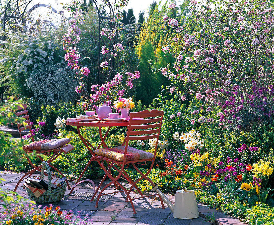 Orange garniture on a flowering spring bed