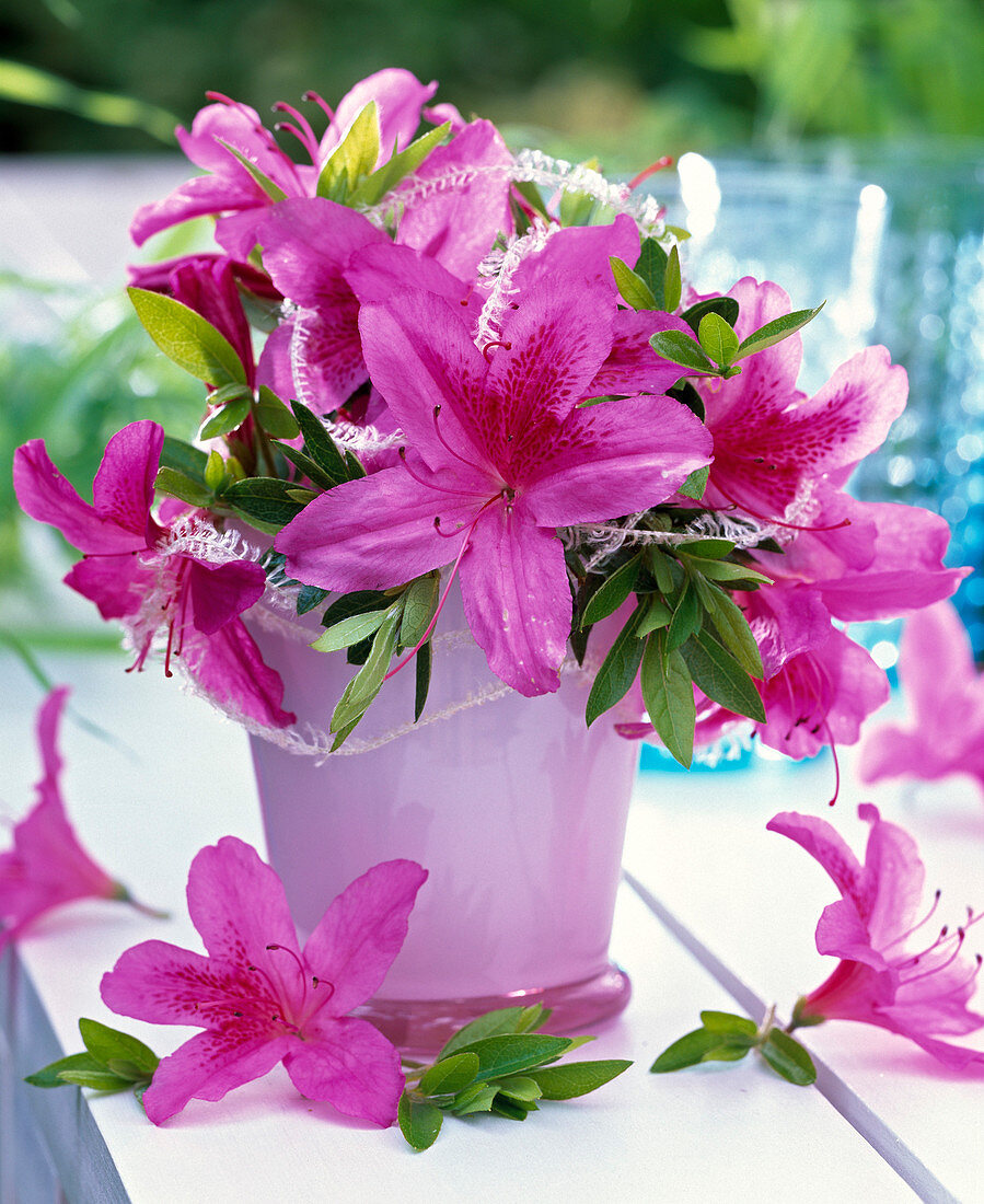 Bouquet made of rhododendron (Japanese azalea) in pink glass vase