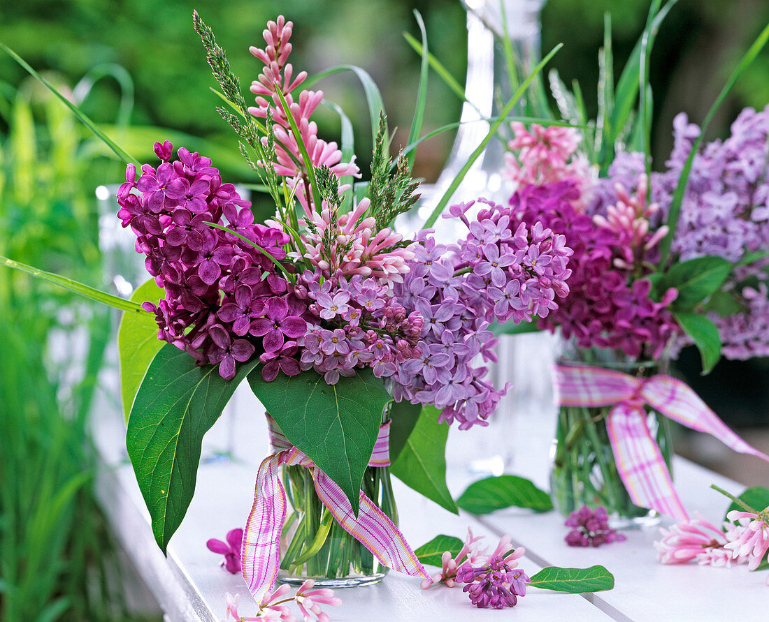 Bouquet of Syringa (lilac) and grasses in a glass vase on a balustrade