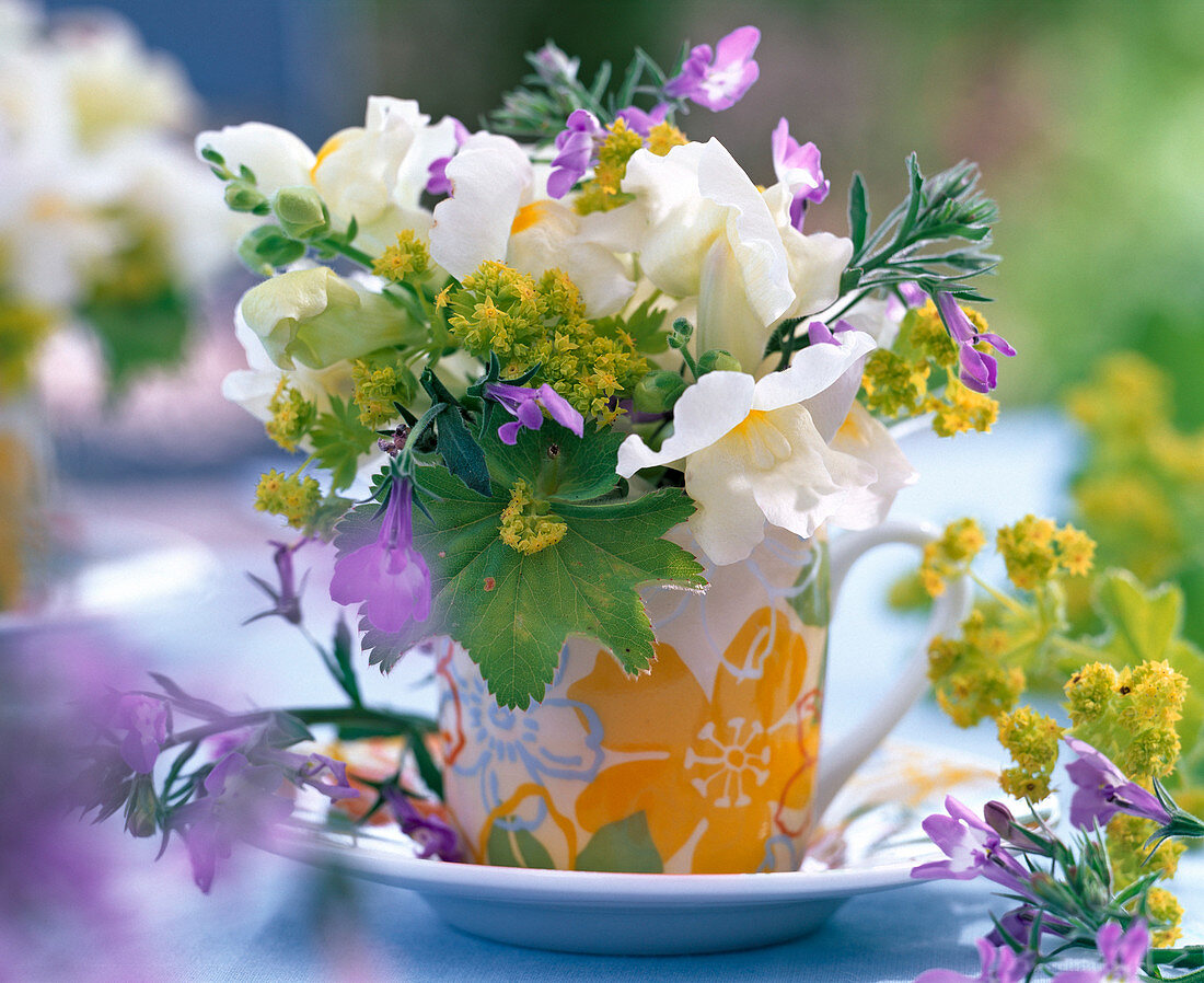 Bouquet of Antirrhinum, Alchemilla, Lobelia