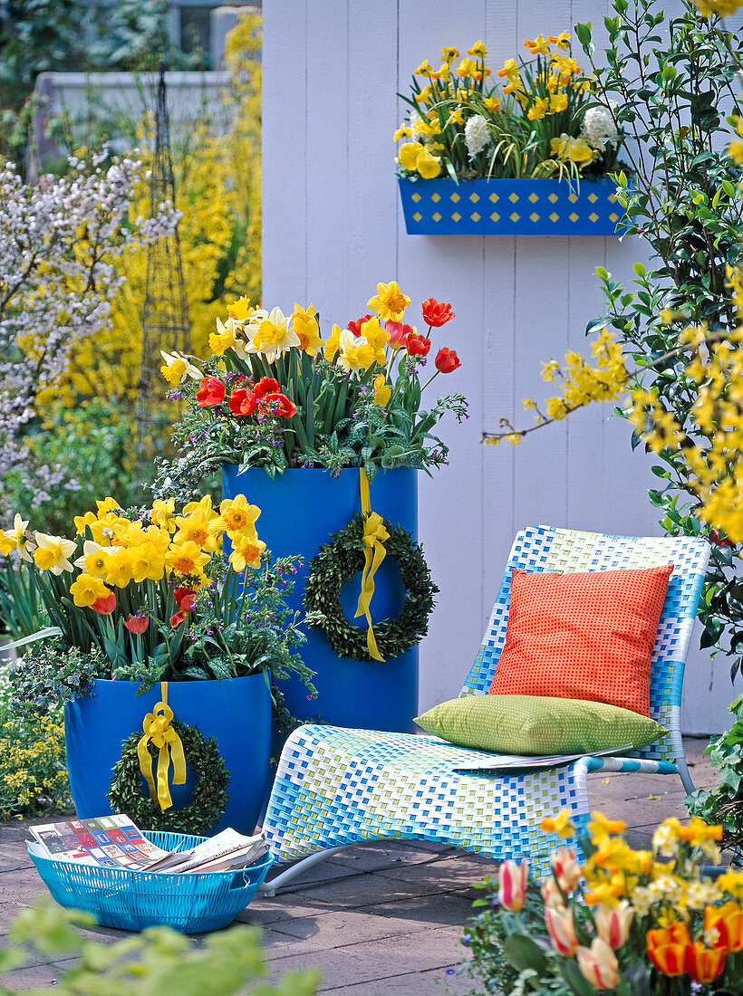 Narcissus (daffodils), Tulipa (tulips), Pulmonaria