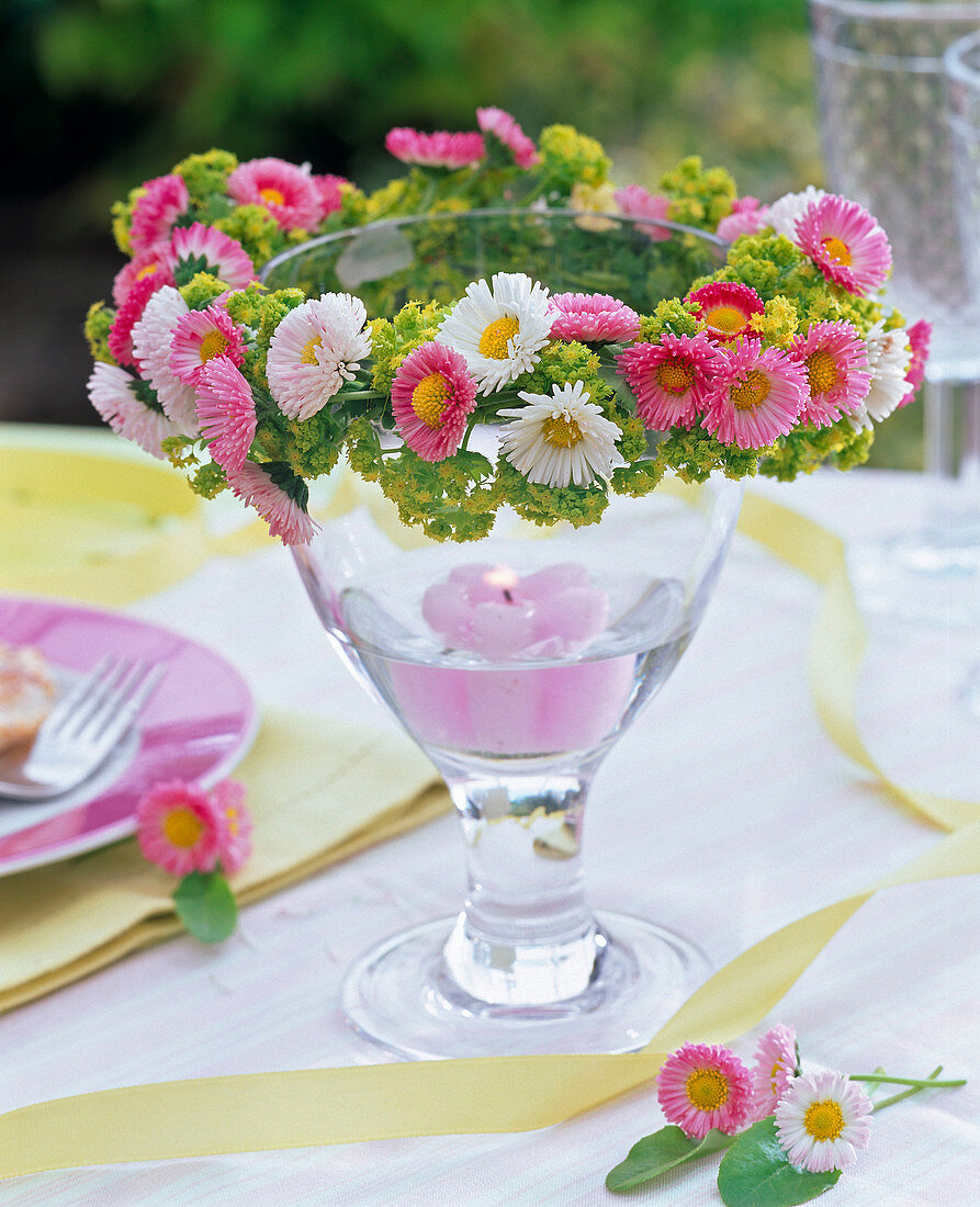 Bellis lady's mantle wreath around lantern