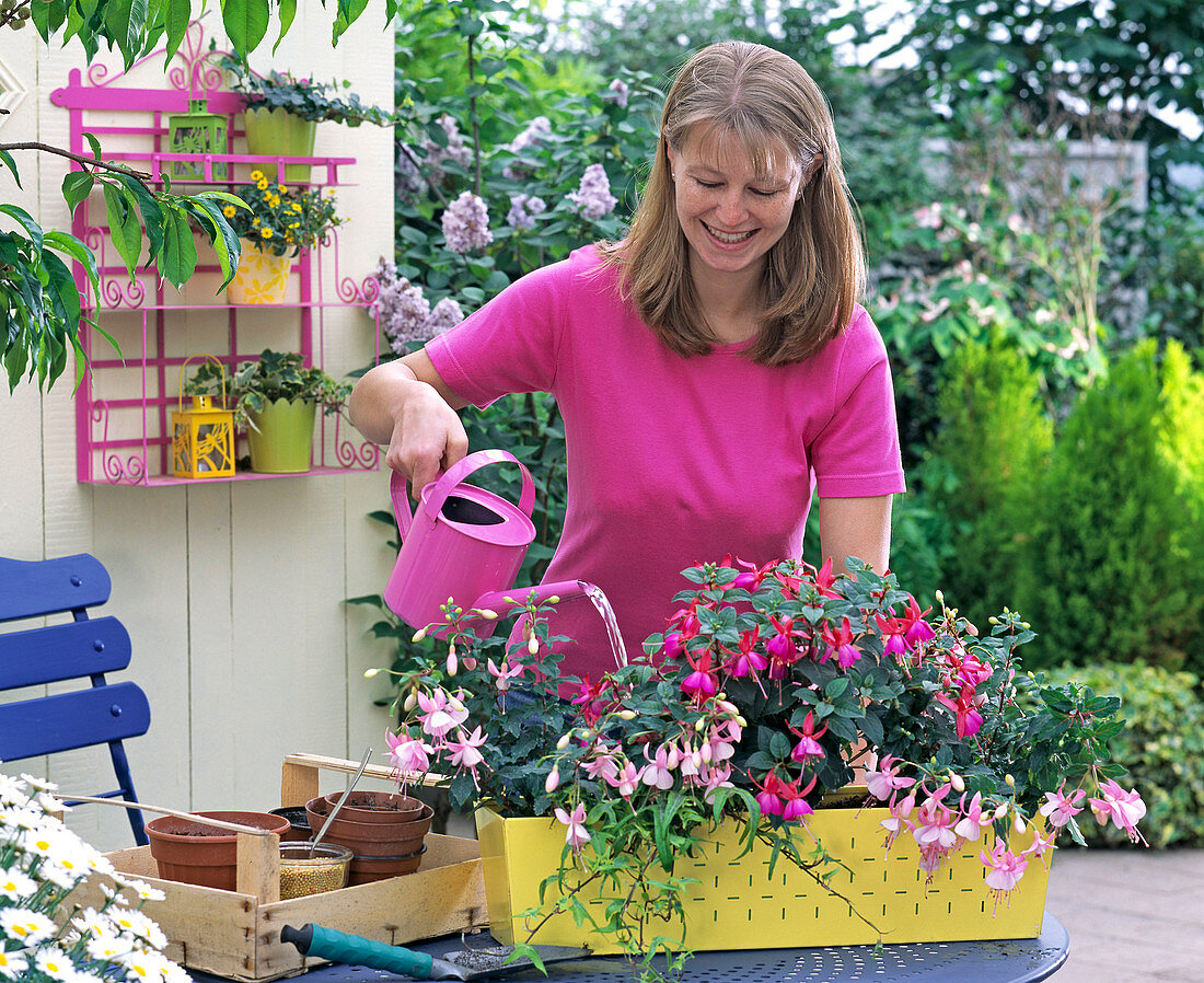 Gelben Kasten mit Fuchsien bepflanzen (4/5)