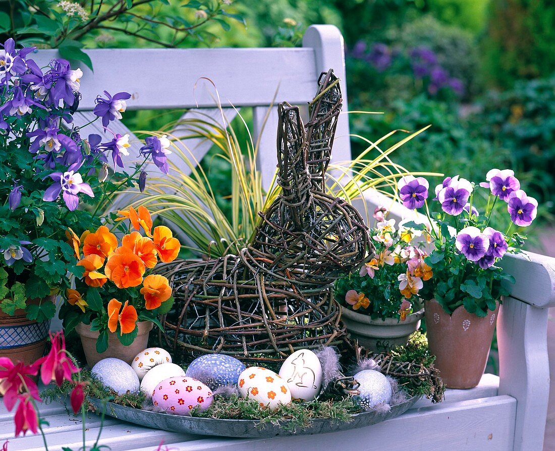 Easter basket with colorful eggs, Viola wittrockiana, hare