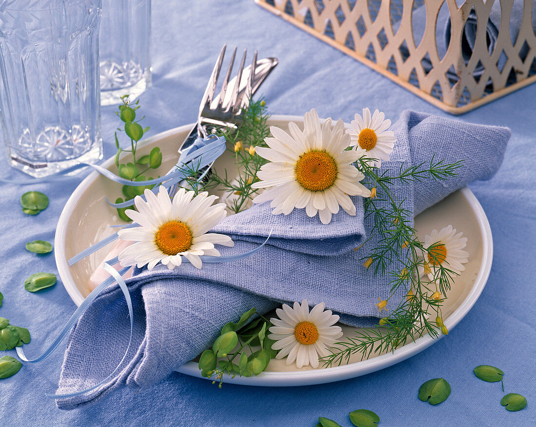 Blüten von Leucanthemum (Margeriten), Asparagus (Zierspargel), Capsella