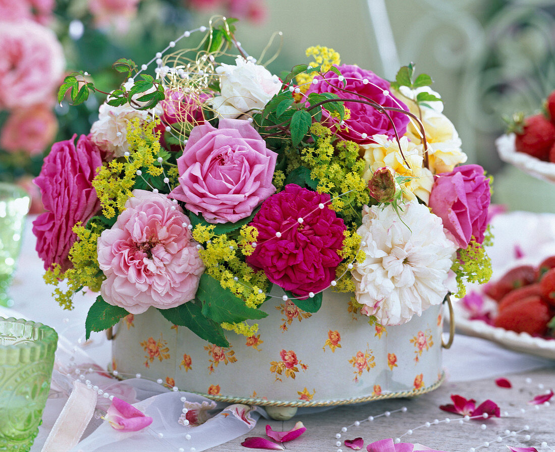 Pink (roses in pink, pink and white), Alchemilla (lady's mantle), tendril