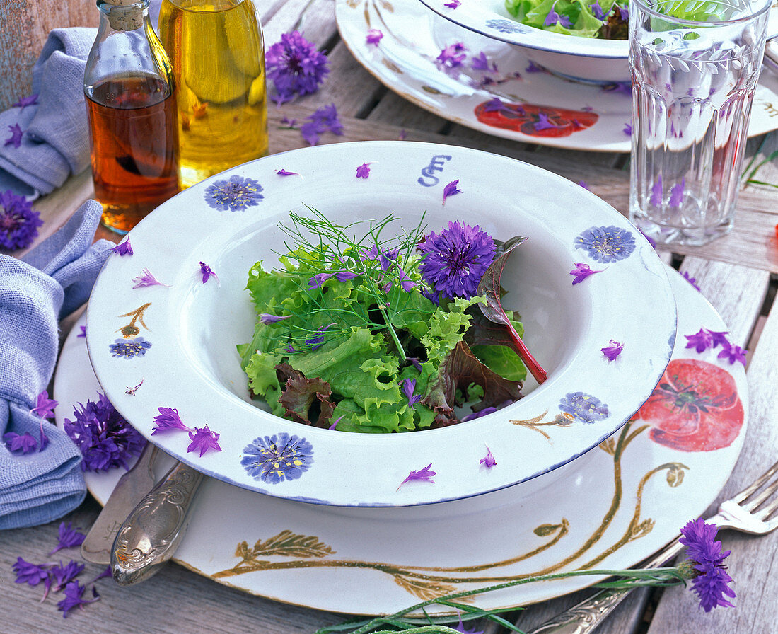 Lactuca (Salat), Blüten von Centaurea (Kornblumen), Anethum (Dill)