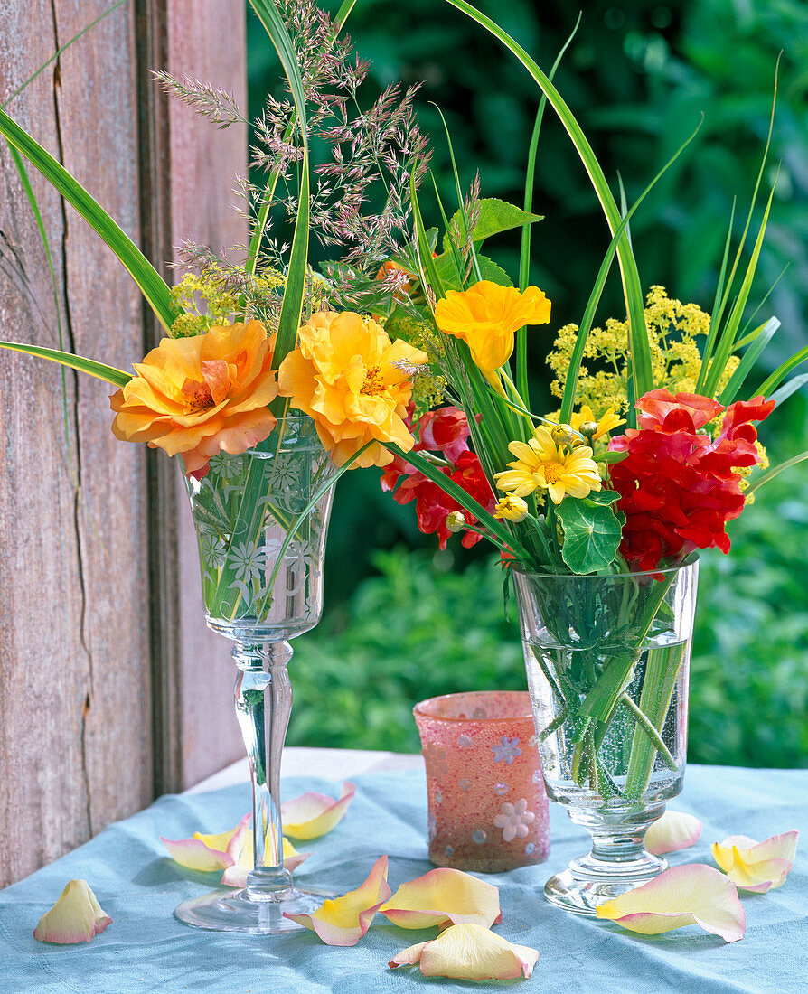 Rosa (Rosen, gelb), Antirrhinum (Löwenmäulchen), Argyranthemum