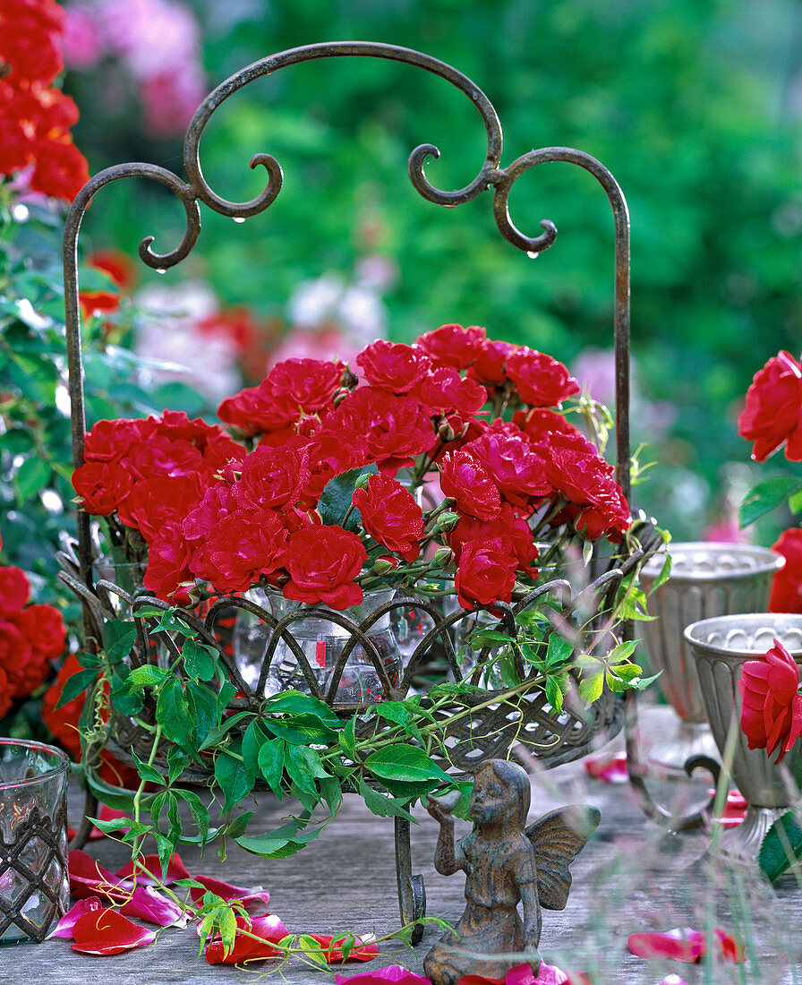 Pink (roses, red) in glass vase placed in rusty iron basket, vine
