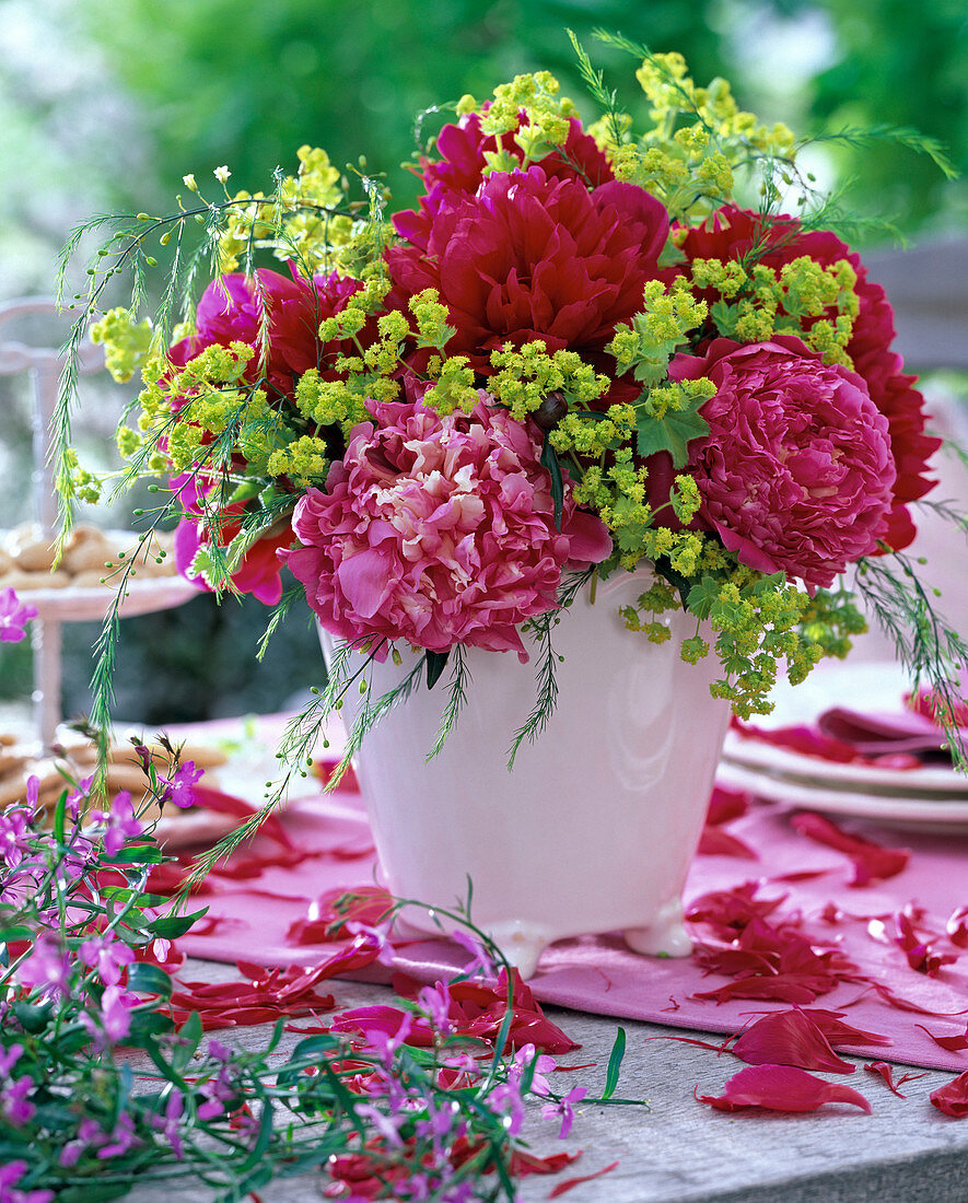 Strauß aus Paeonia (Pfingstrosen, rot), Alchemilla (Frauenmantel), Asparagus