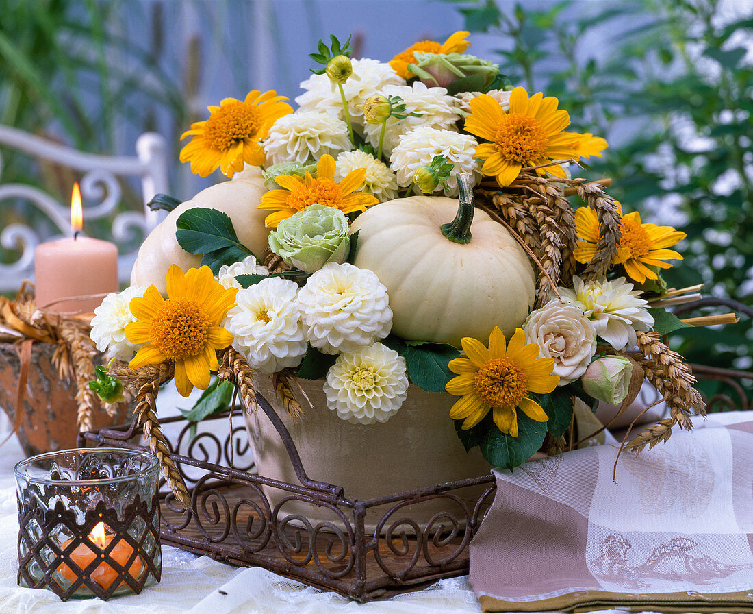 Gesteck mit weißen Dahlia (Dahlien), Helianthus (Sonnenblumen), Cucurbita