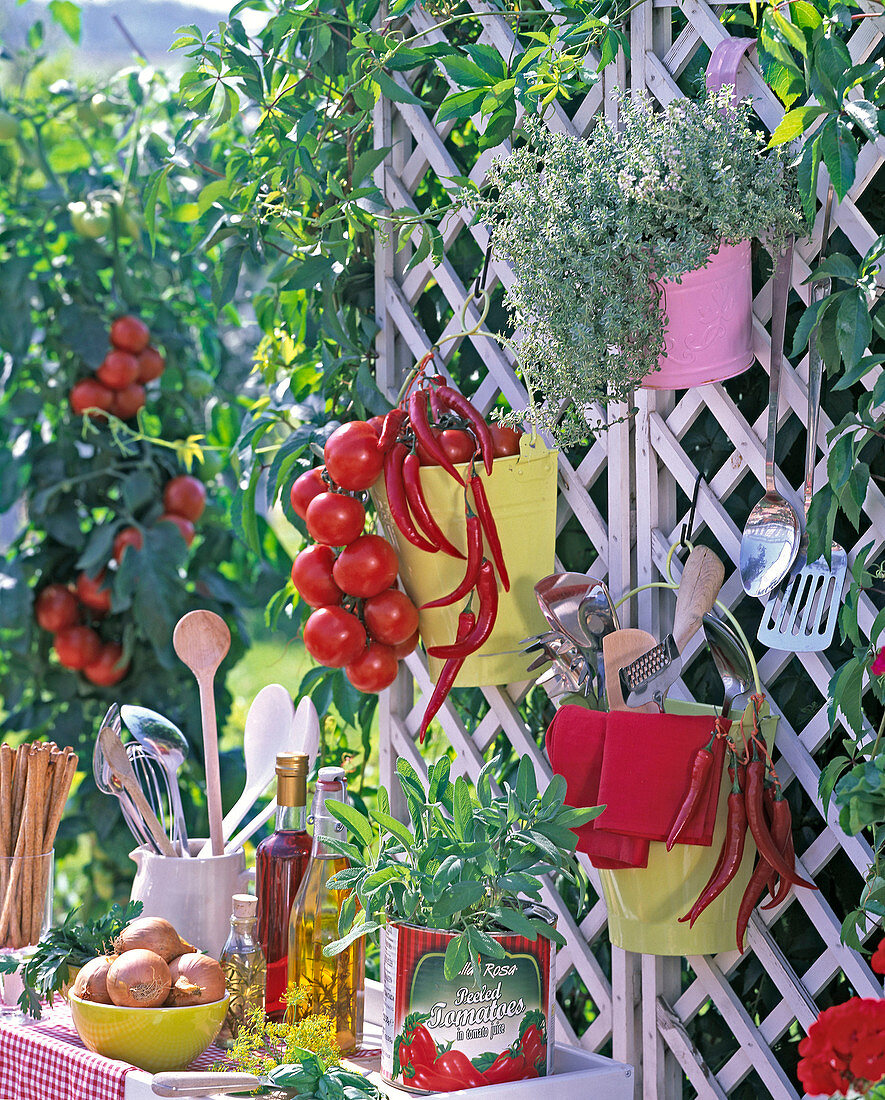 Outdoor kitchen